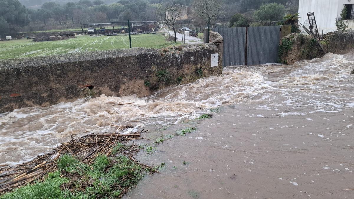 Les fotos dels efectes de la llevantada a les comarques gironines