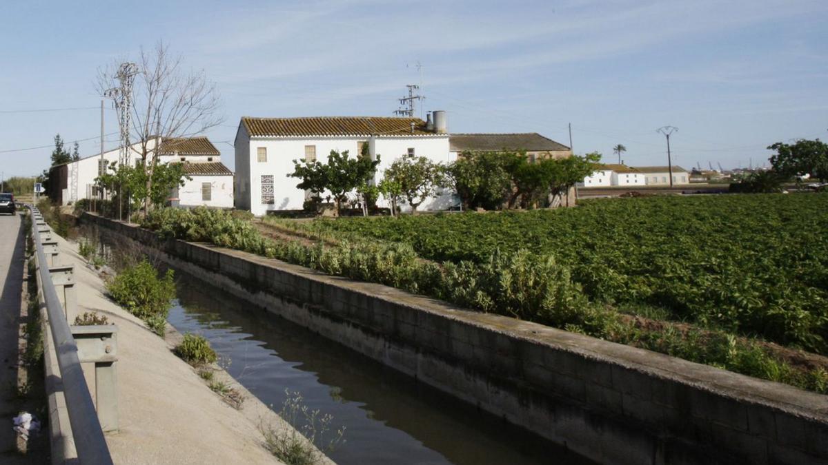 Huerta de Alboraia en el Camí de la Mar. | A.C.