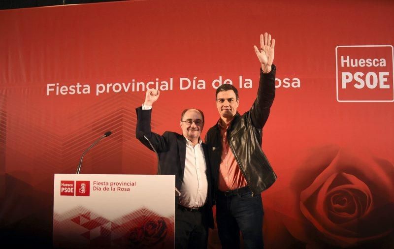 Pedro Sánchez celebra la Fiesta de la Rosa en Ayerbe