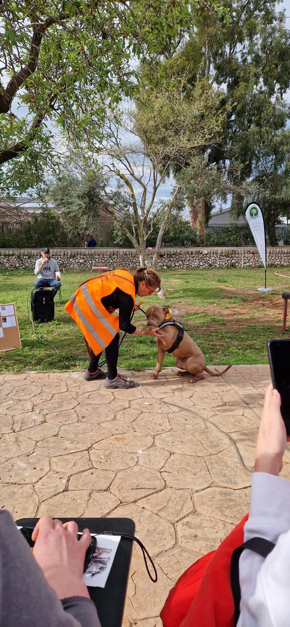 Así ha sido el desfile de Peluditos de Son Reus: Decenas de perros buscan un hogar en Mallorca