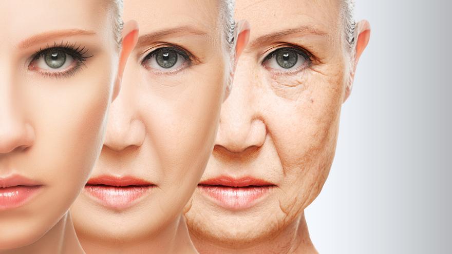 Biotina y niacina, dos vitaminas esenciales para prevenir el envejecimiento y tener una piel más sana