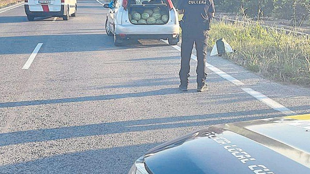 Cae un ladrón de sandías tras vigilar con drones las cosechas de Cullera.