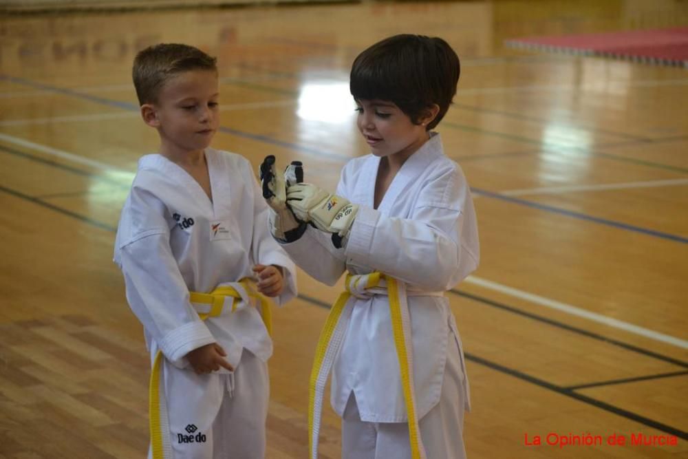 Regional de taekwondo