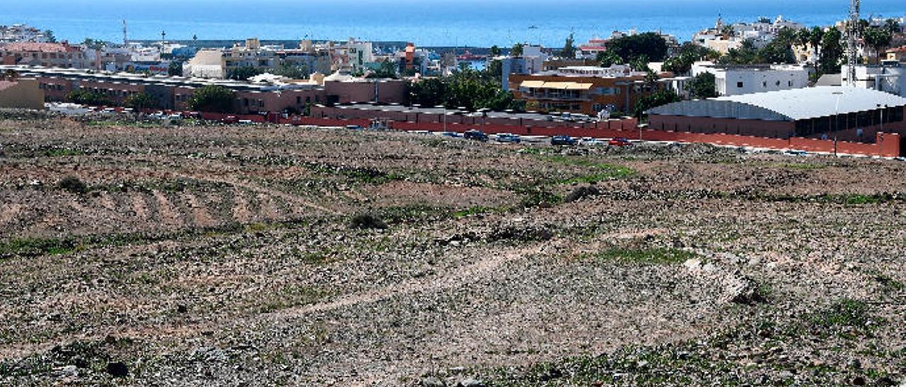 Loma de Pino Seco, en Arguineguín, donde el Ayuntamiento tiene previsto construir viviendas sociales.