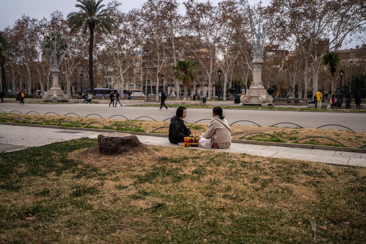 La sequía afecta los espacios verdes de la ciudad. En el Arco del Triunfo, Barcelona.