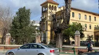 El Ayuntamiento de Córdoba comienza los trabajos para trasplantar el olmo centenario del Marrubial