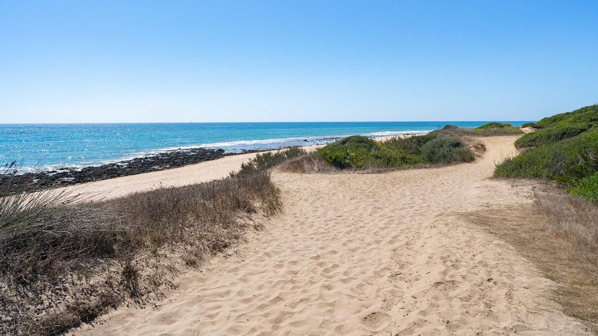 La Mangueta, una playa virgen de Vejer de la Frontera situada a apenas dos horas de Sevilla