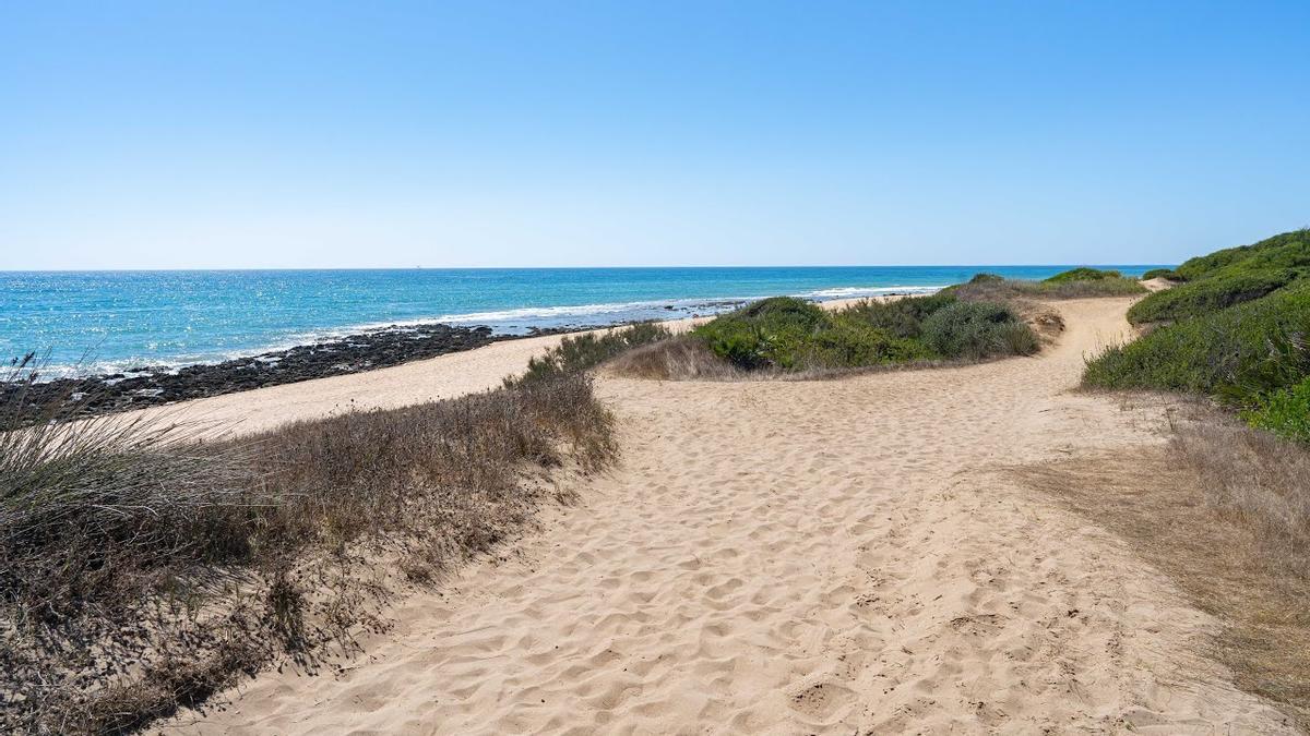 La Mangueta, una playa virgen de Vejer de la Frontera situada a apenas dos horas de Sevilla