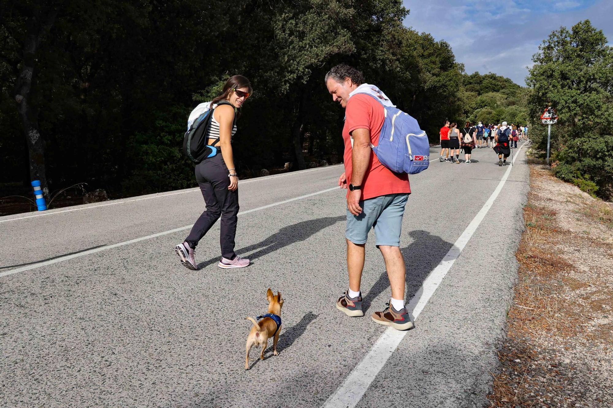 Romería a la Ront Roja