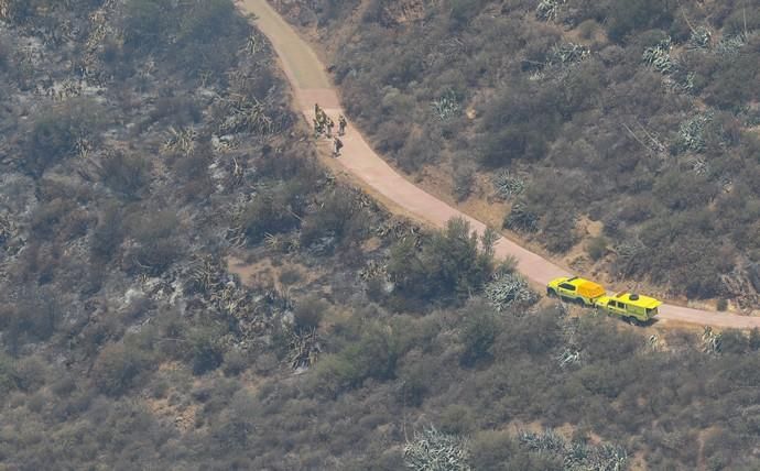 Incendio en Tejeda, Gran Canaria