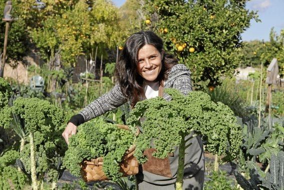 In den Beeten der Biogranja La Real bei Palma wachsen gleich vier supergesunde Sorten des Modegemüses "Kale".