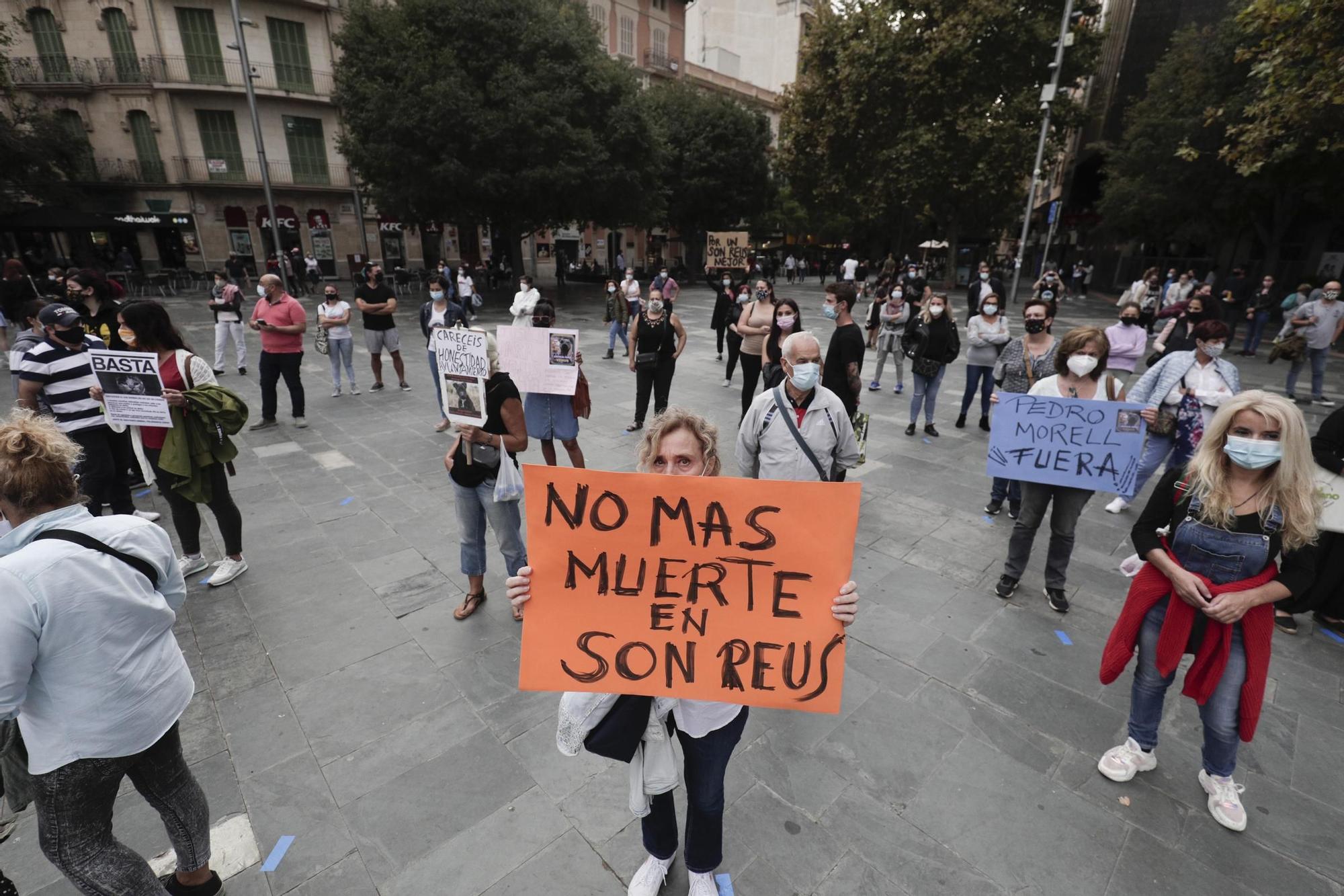 Palma celebra la Fira del Llibre