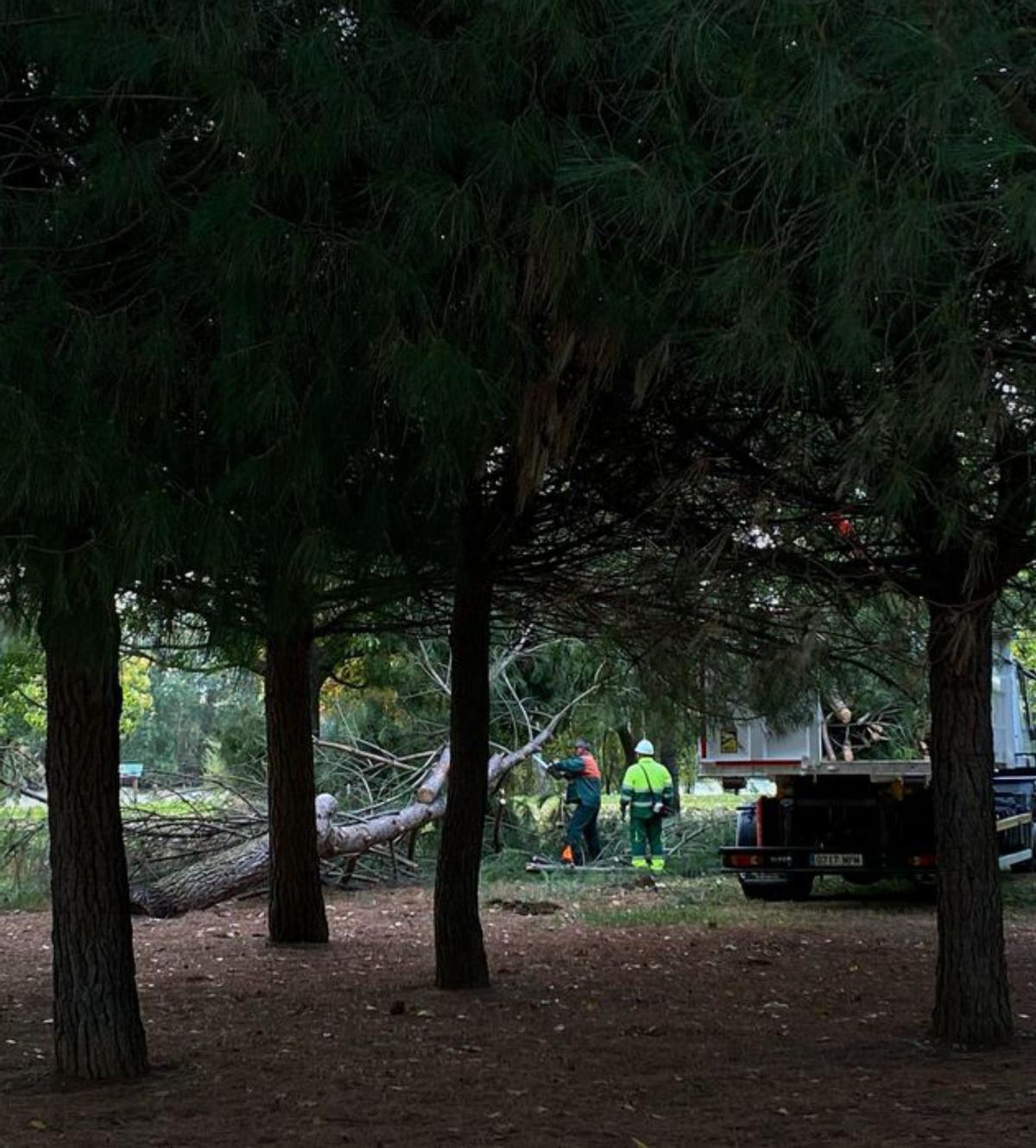 Un centenar de emergencias atendidas, con los bomberos desbordados por Kirk