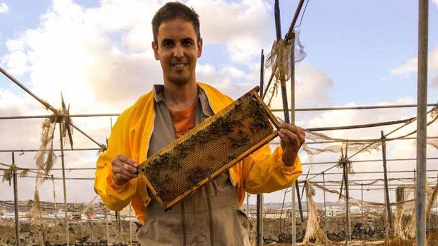 La miel Colmenar La Violeta logra una Estrella Michelin