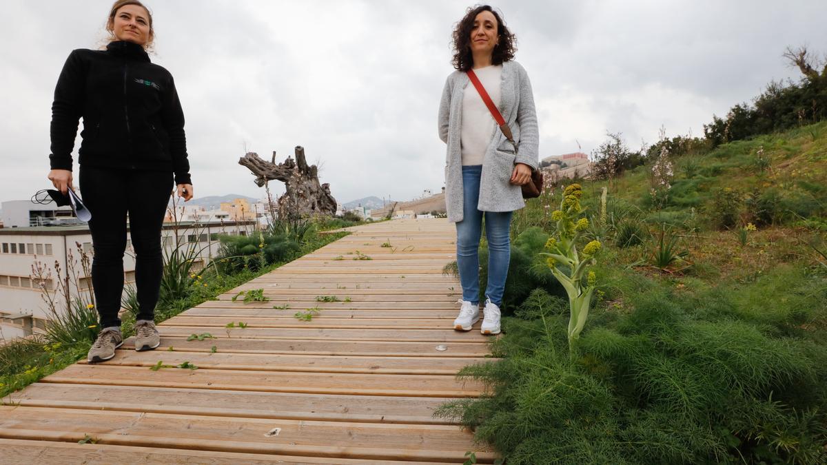 La arqueóloga y conservadora Maria Bofill y la bióloga Olivia López, autora de la flora y fauna de la necrópolis.