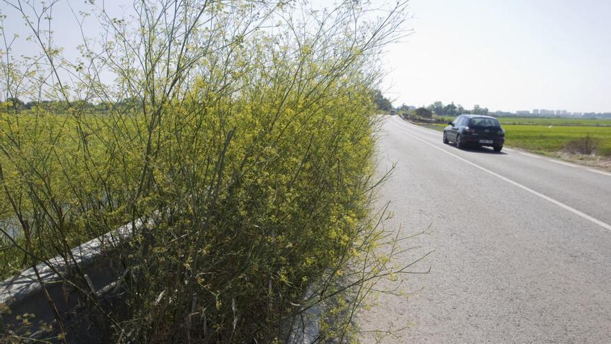 La carretera donde ocurrió el atropello mortal.