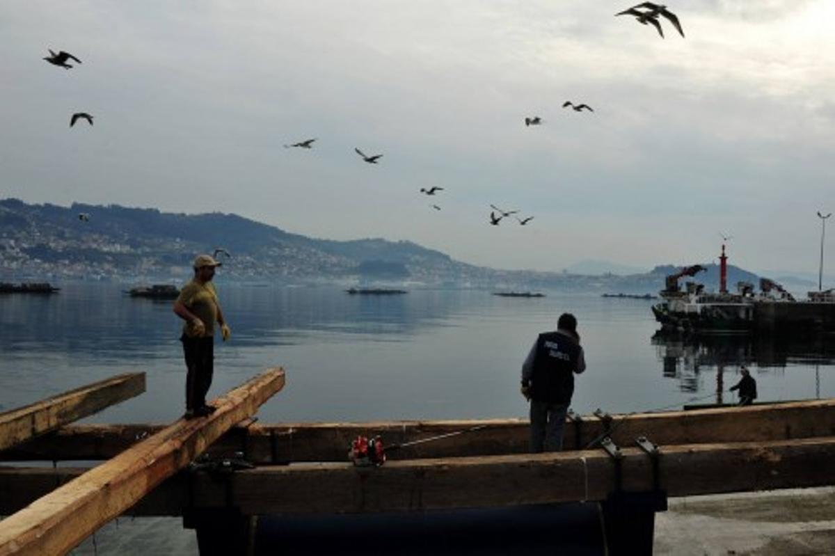 Construcción de una batea en Arousa