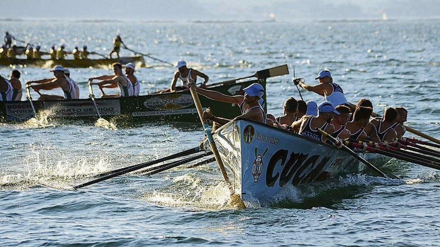 Competición de traineras celebrada en la ría de Arousa. // Iñaki Abella