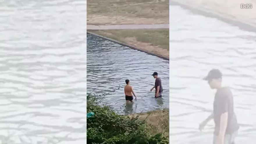 Vídeo: Grups de nens es banyen a l'estany del parc del Migdia de Girona