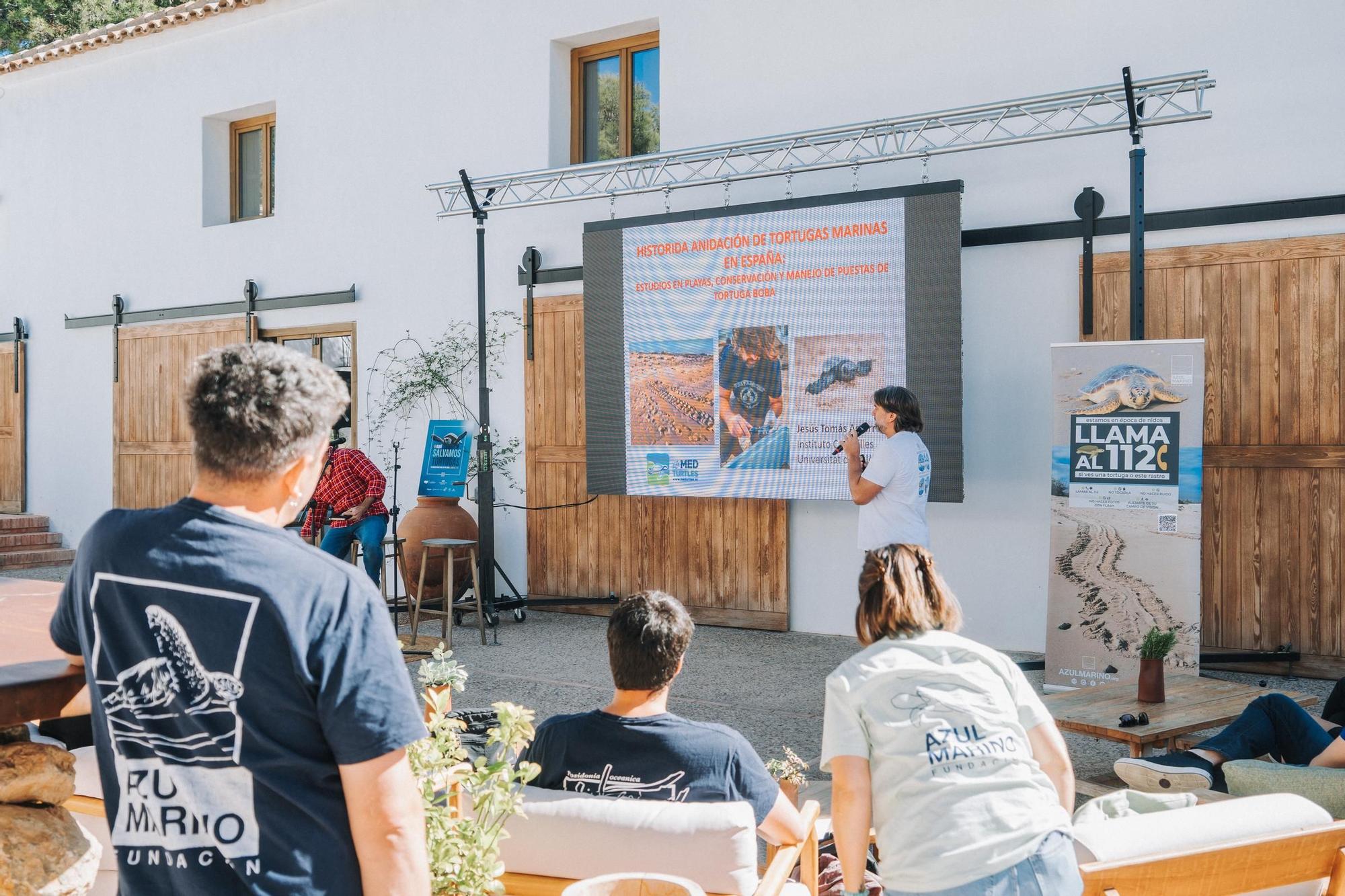 La Fundación Azul Marino reúne expertos y ayuntamientos de Castellón por la protección de las tortugas marinas