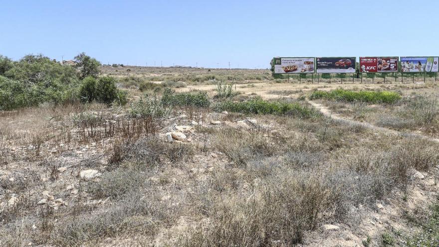 Terrenos del sector La Hoya de Torrevieja