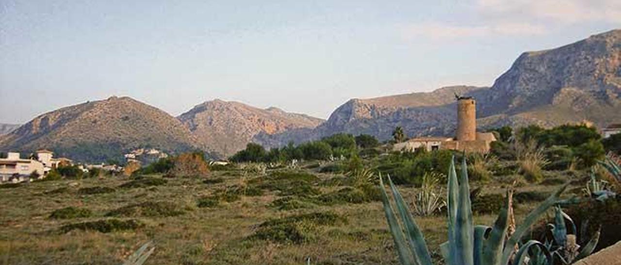 Los terrenos del Molí d´en Regalat, en la Colònia de Sant Pere, constan de 10.000 metros cuadrados sin urbanizar.