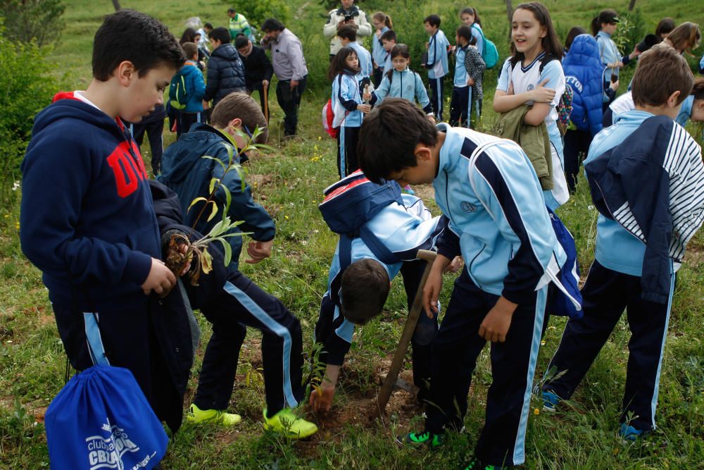 Celebración del Día Internacional de la Tierra