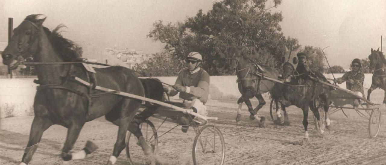 Una carrera de trote en Can Bufí en 1971.