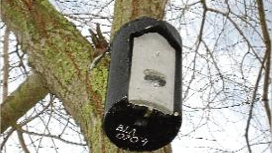 Una de les caixes-refugi que s&#039;han col·locat en un parc de Blanes.