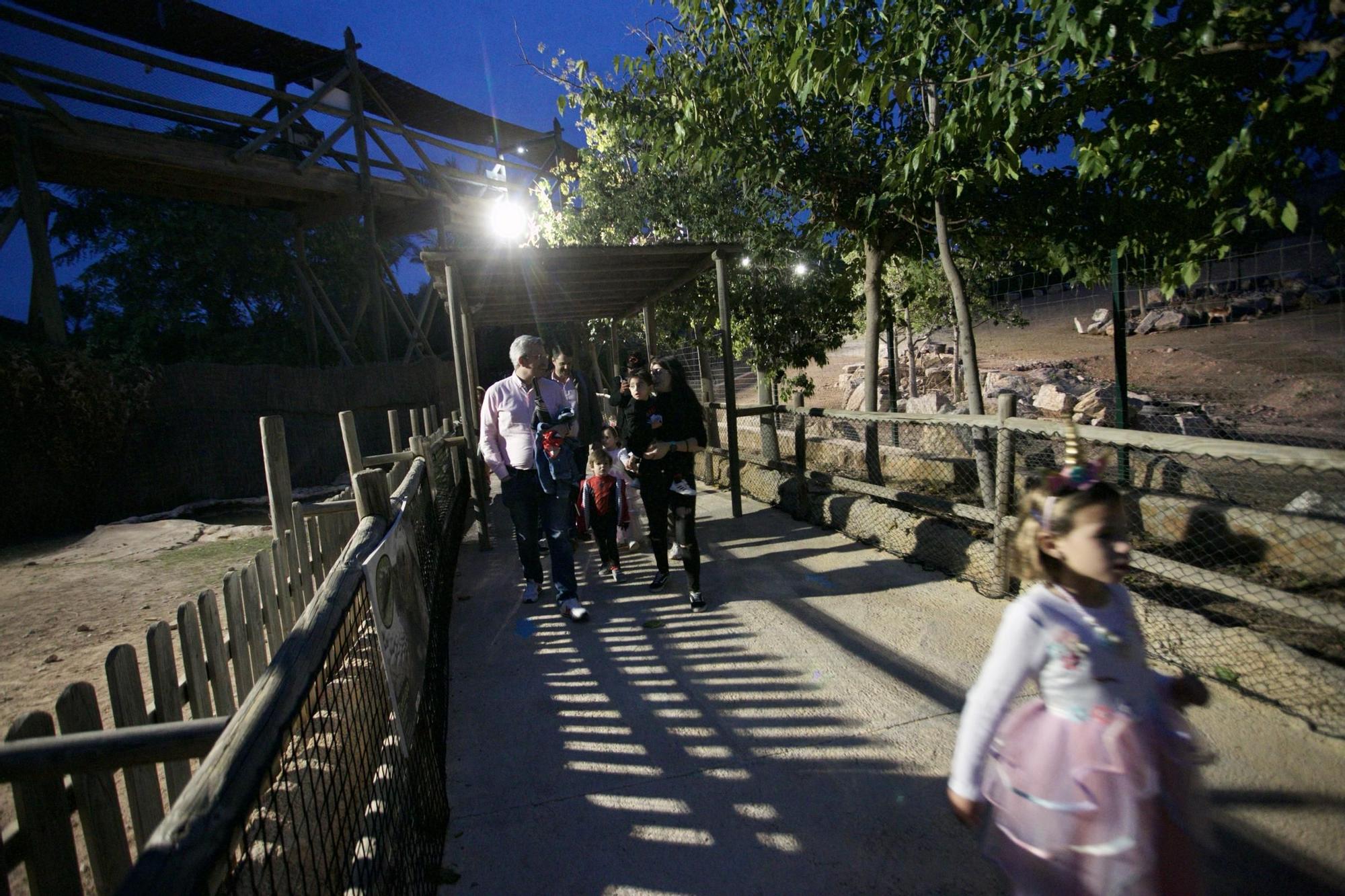 Terra Natura celebra Halloween con un safari nocturno