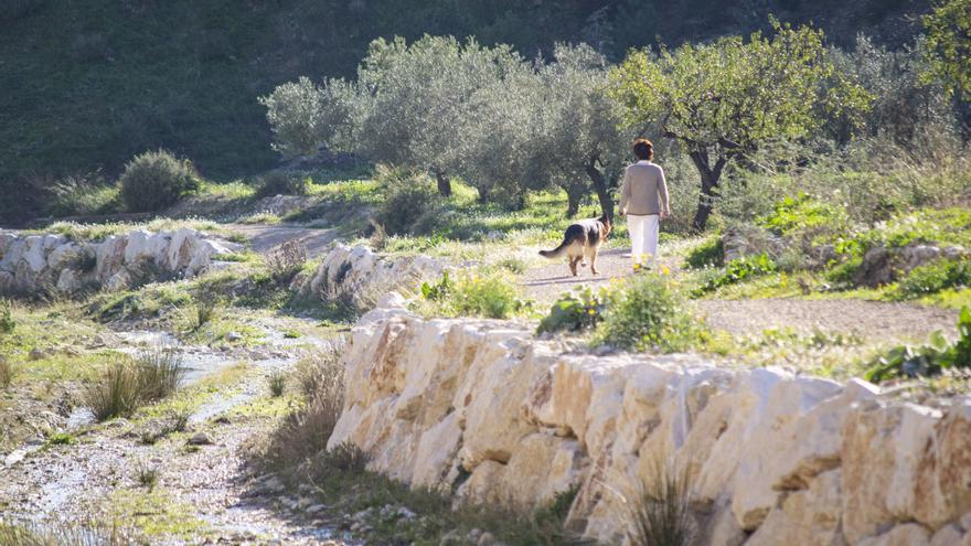 Dónde comerse la mona en Xixona y todas sus actividades en Semana Santa