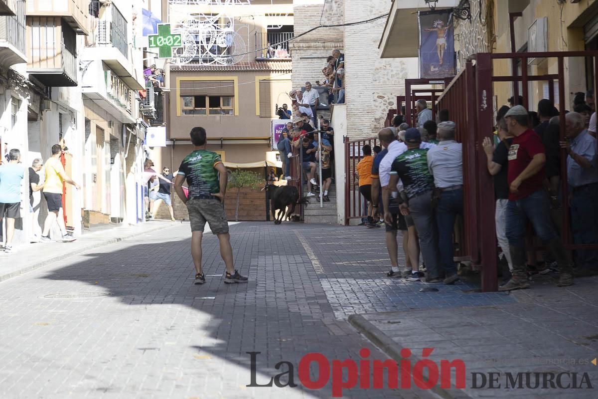 Cuarto encierro en las Fiestas de Moratalla