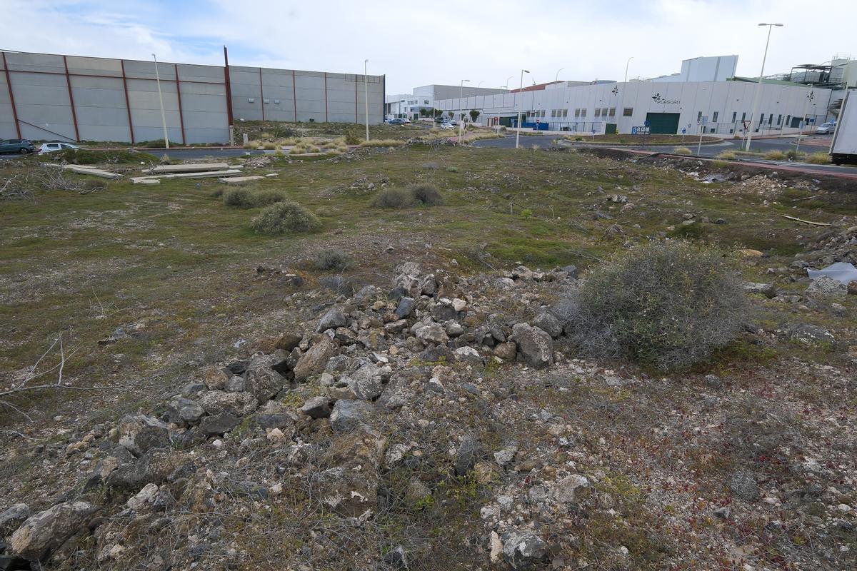 Parcela en El Goro en donde se va a instalar la planta de Ayagaures.