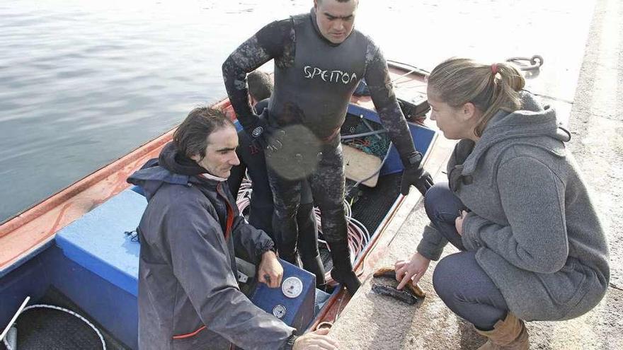 Marineros y técnicos de la Cofradía de Cangas con ejemplares de &quot;carallo de mar&quot;. // Gonzalo Núñez