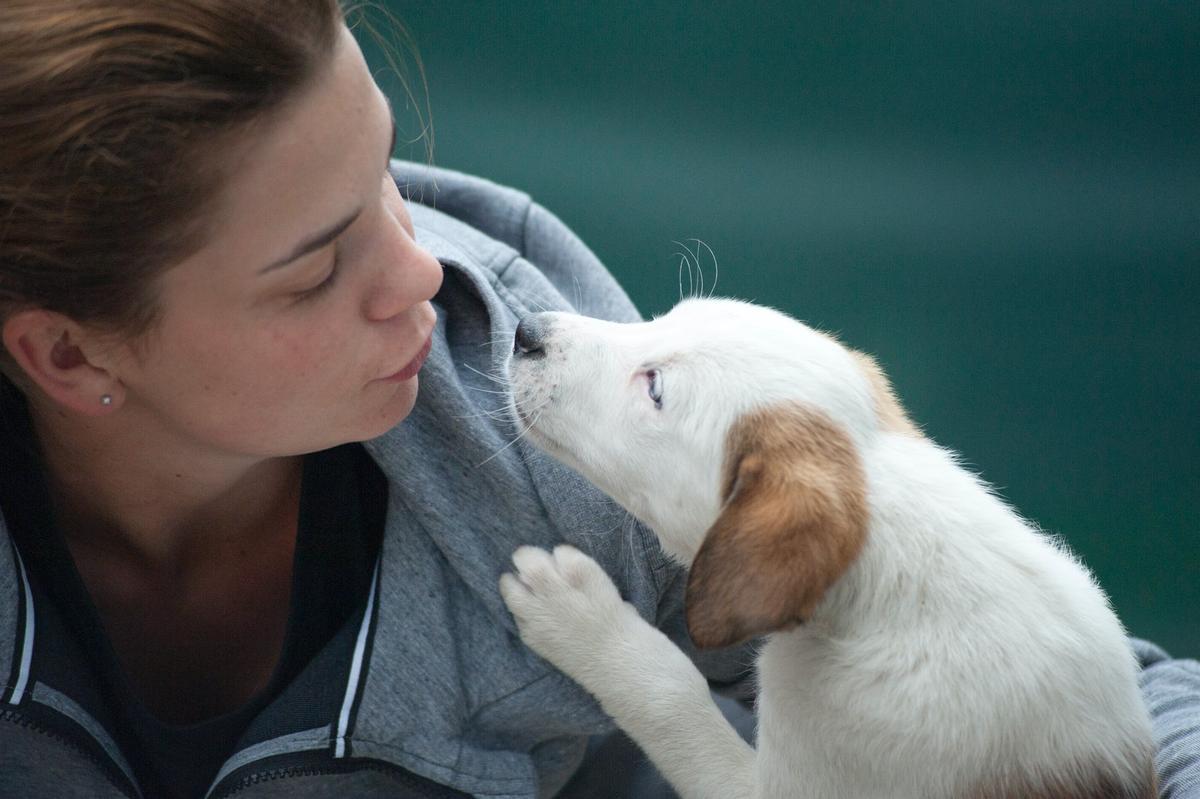 Coronavirus y mascotas: es mejor no dormir con el gato ni dejar que te lama el perro