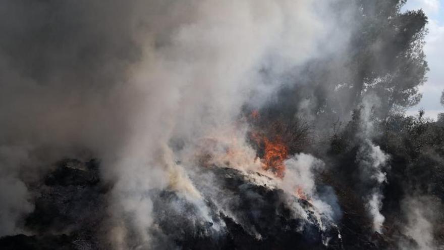 El fuego se ha iniciado a las 16.15 horas de la tarde de este martes y ha sido controlado una hora más tarde