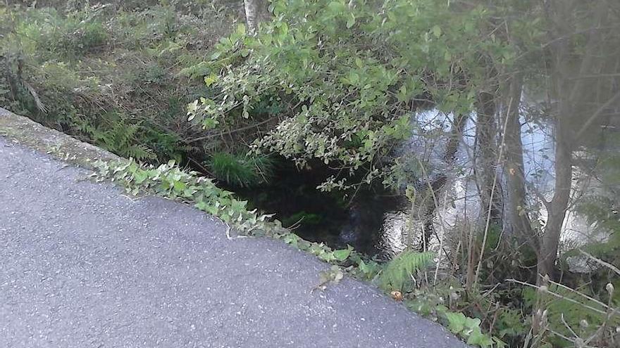 Uno de los lugares en los que se reclama la instalación de barandillas de protección.  // FDV