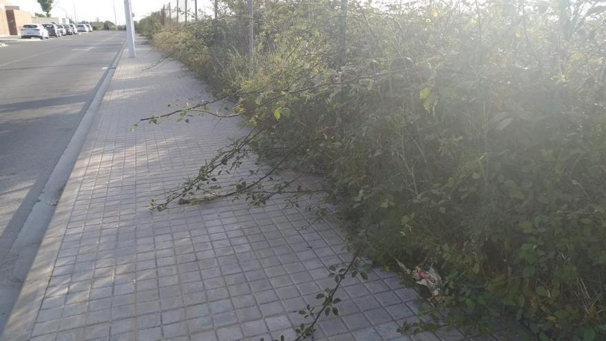 Censuran la &quot;lamentable&quot; imagen que presentan algunas calles del Port