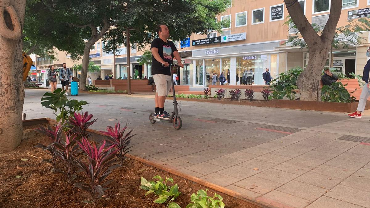 Nuevos ejemplares de plantas en Mesa y López.