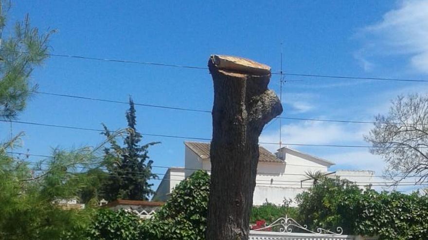 Los vecinos de La Canyada denuncian nuevas talas