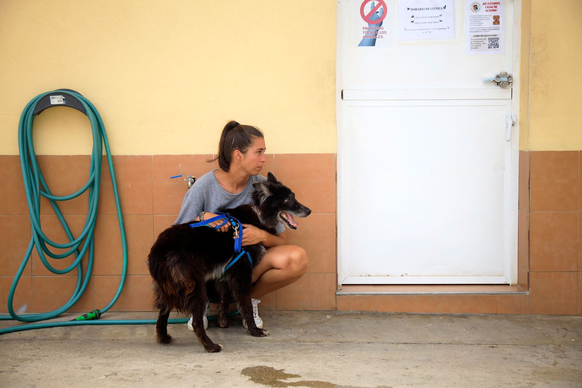 Estado de la Protectora de Animales de Málaga en julio de 2022