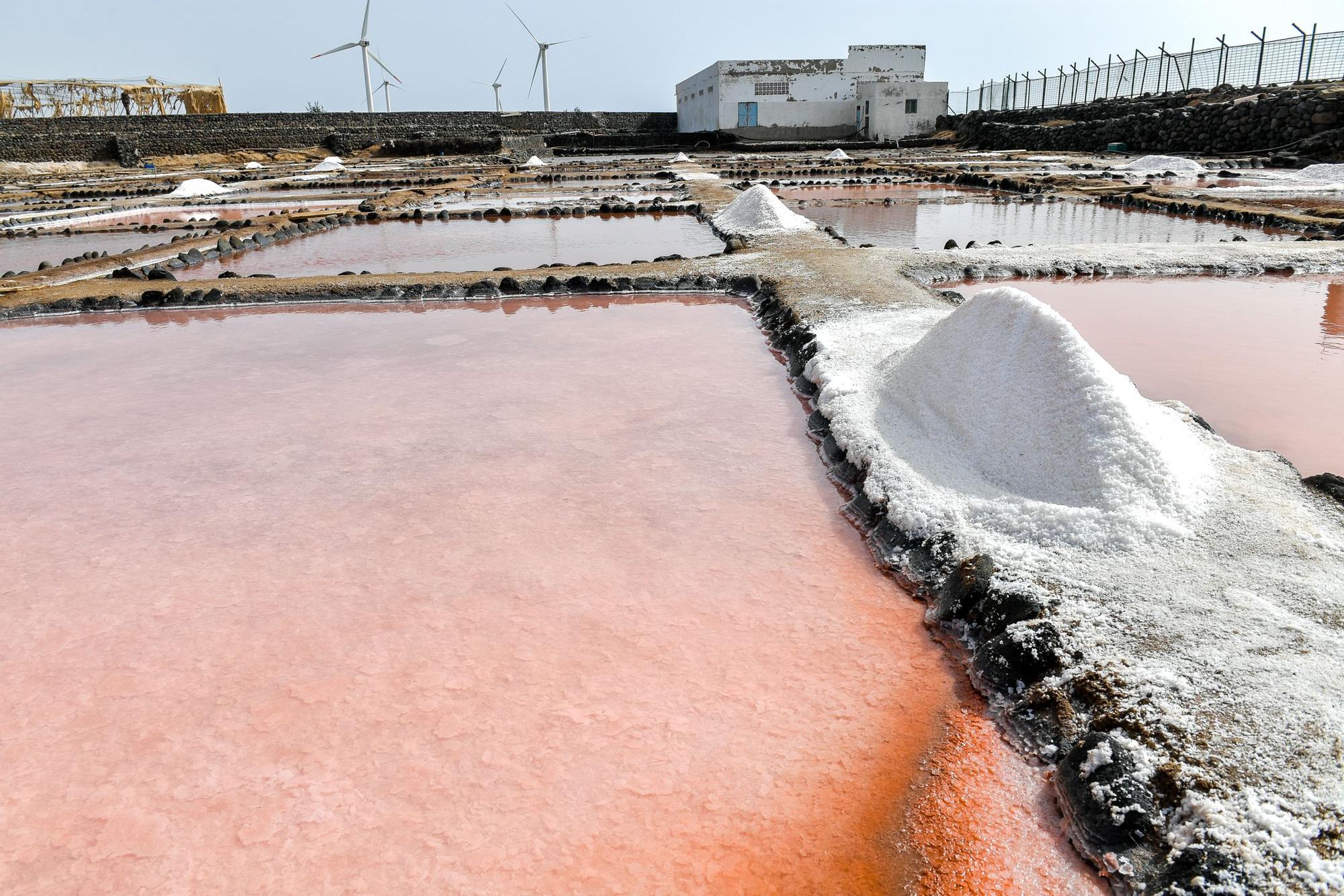 Salinas de Vargas