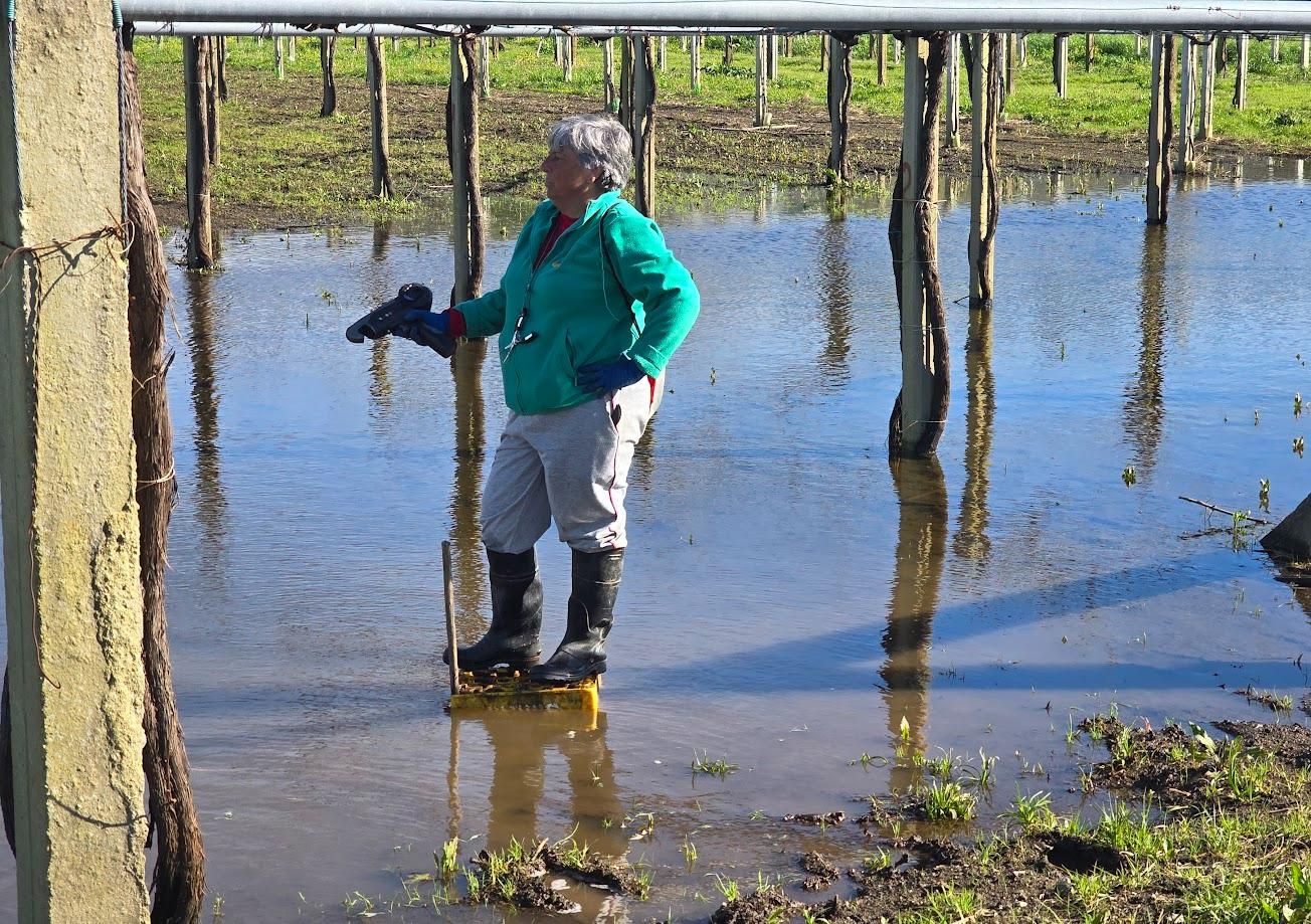 Arousanos aprovechando el buen tiempo para preparar sus tierras de cultivo.