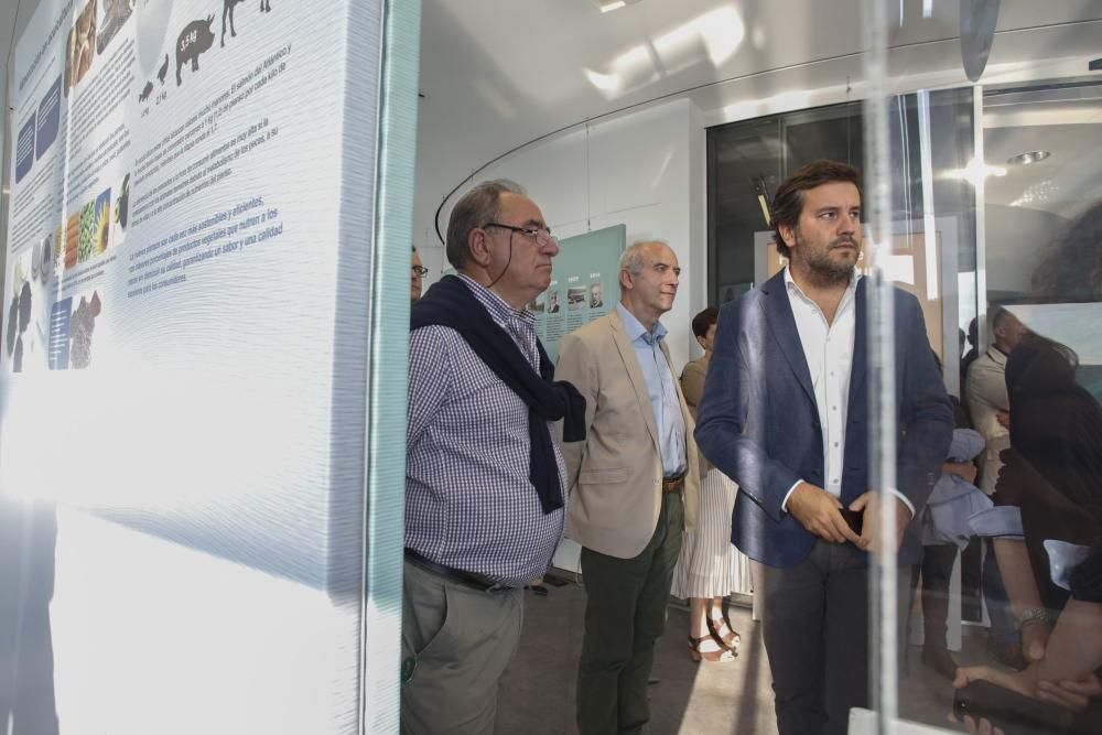 Exposición sobre acuicultura en el Niemeyer.