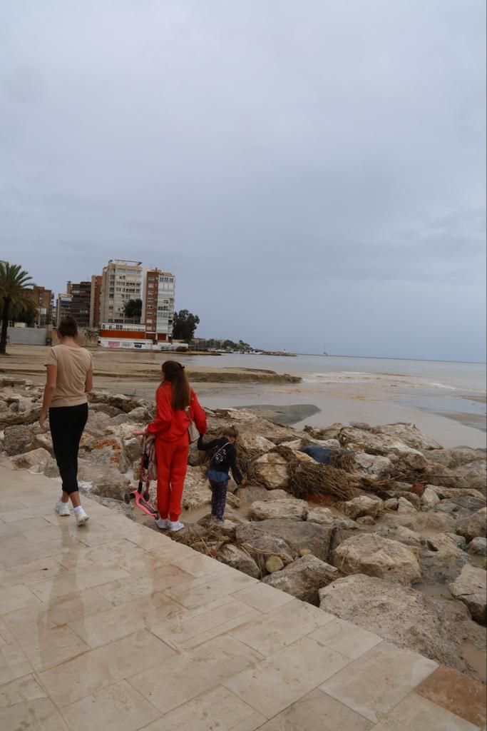 Efectos de la lluvia en la Albufereta y el barranco de Alicante