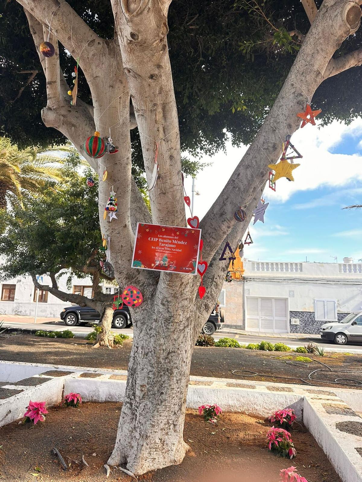 Escolares de Arrecife decoran los árboles de sus barrios Escolares de Arrecife decoran los árboles de sus barrios
