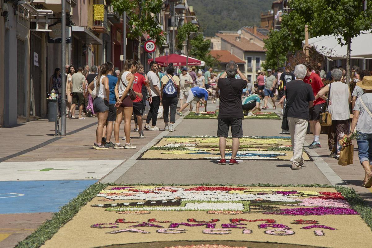Les catifes d'Arbúcies en imatges