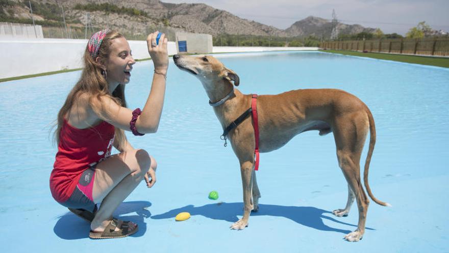 Tener perro en casa es más caro que el año pasado