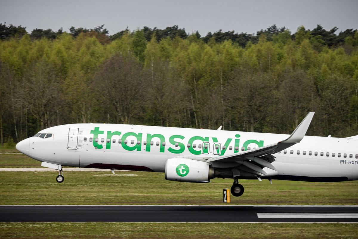 Transavia prevé duplicar los viajeros de negocios hasta un 20 % con el impulso de Amadeus