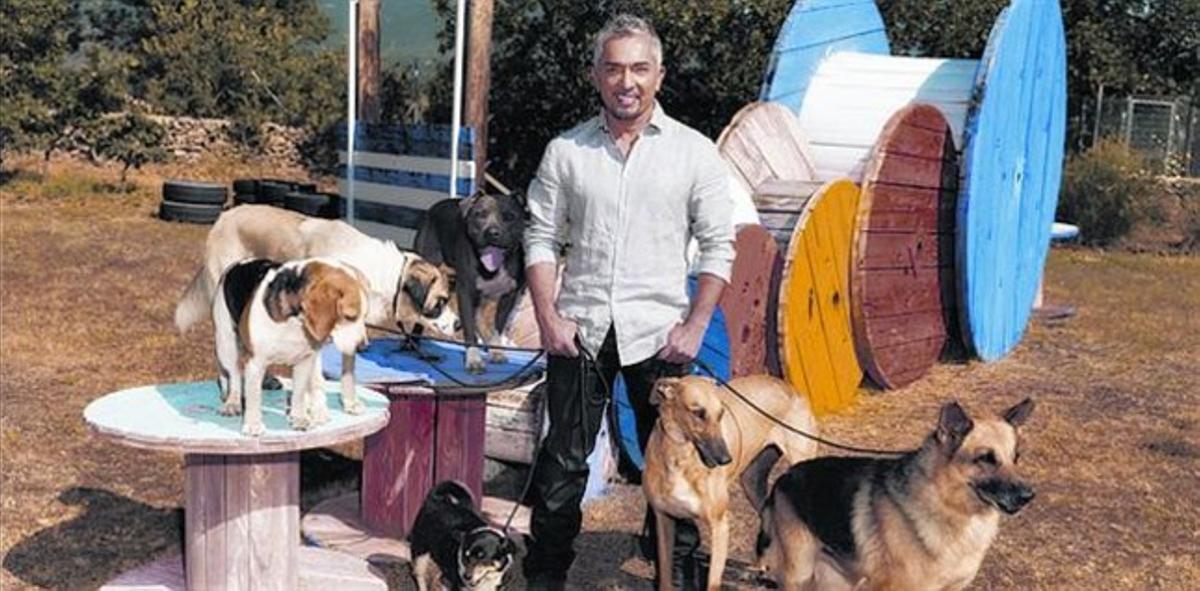 César Millán, amb alguns dels gossos que apareixen al seu programa. César Millán, amb alguns dels gossos que apareixen al seu programa.